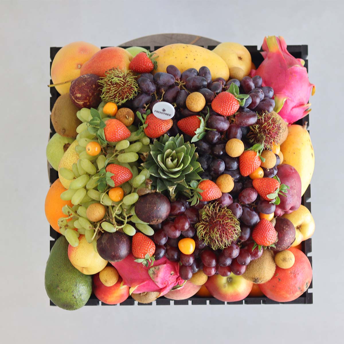 Square Fruits Salla - Image 3
