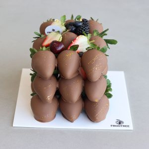 Dipp Chocolate Strawberry