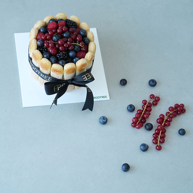 Frootree Charlotte - Image 2